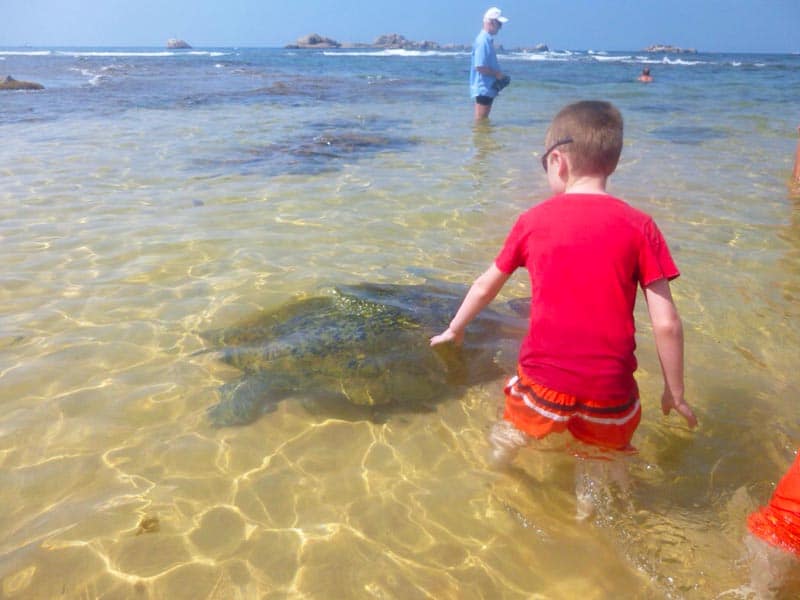 Coral Reef at Hikkaduwa