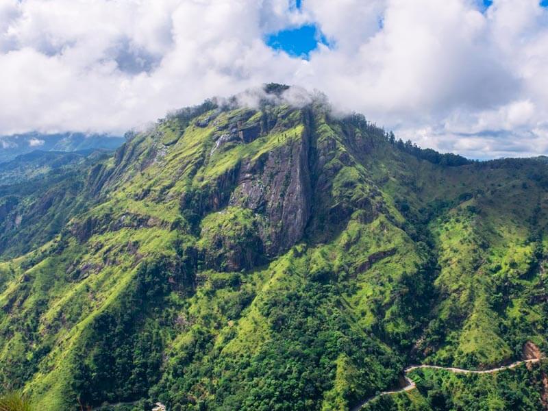 Little Adam's Peak Ella