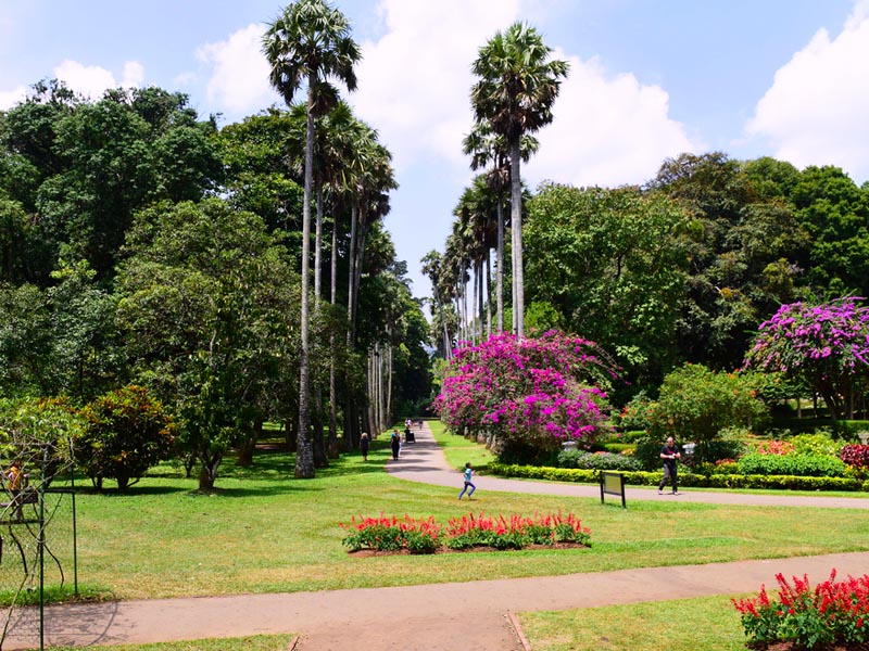 Peradeniya Botanical Garden