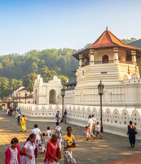 Private 11 Days Tour in Sri Lanka