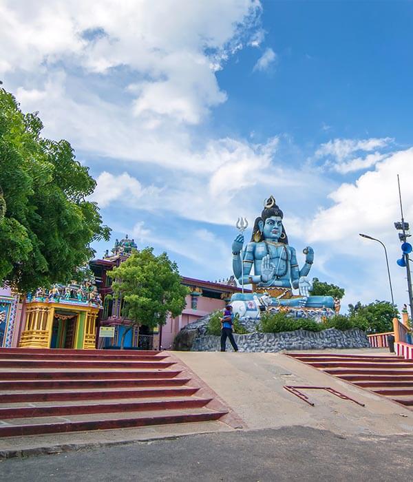 Private 14 Days Tour in Sri Lanka