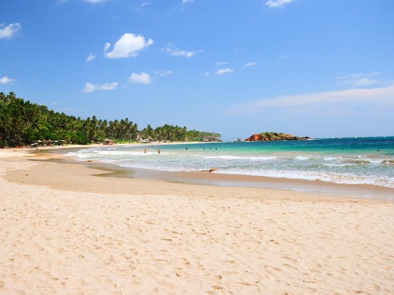 Visit Mirissa Beach